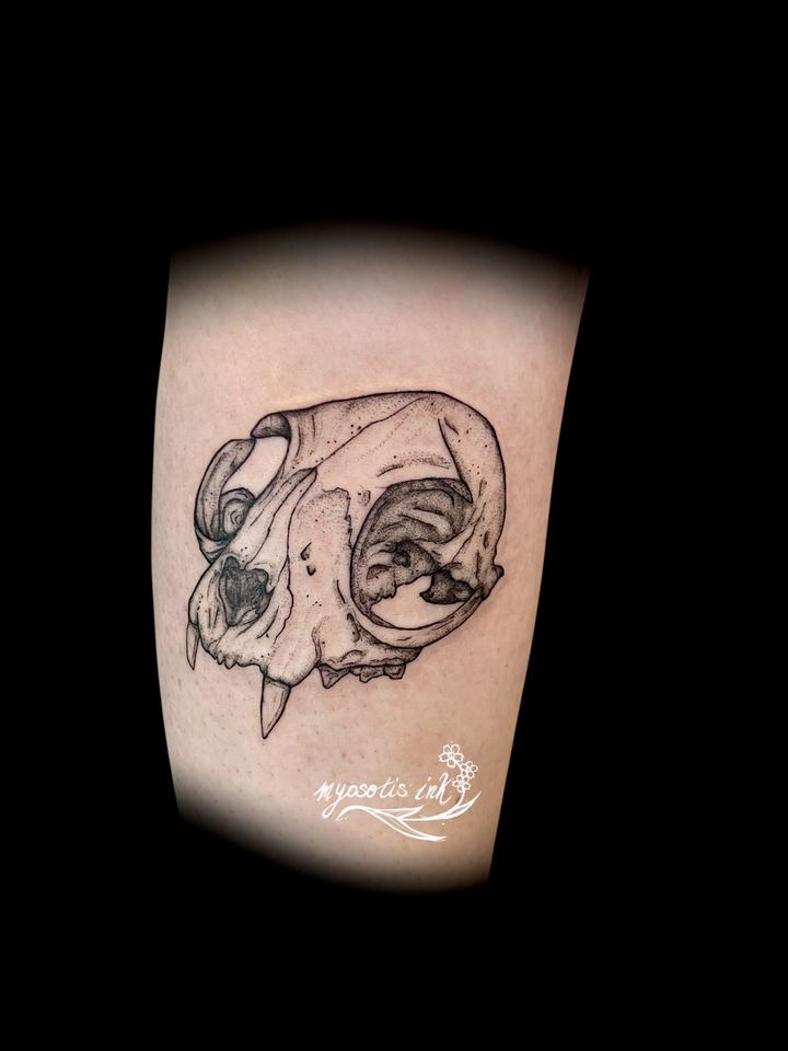 Tattoo von Luca: Katzenschädel